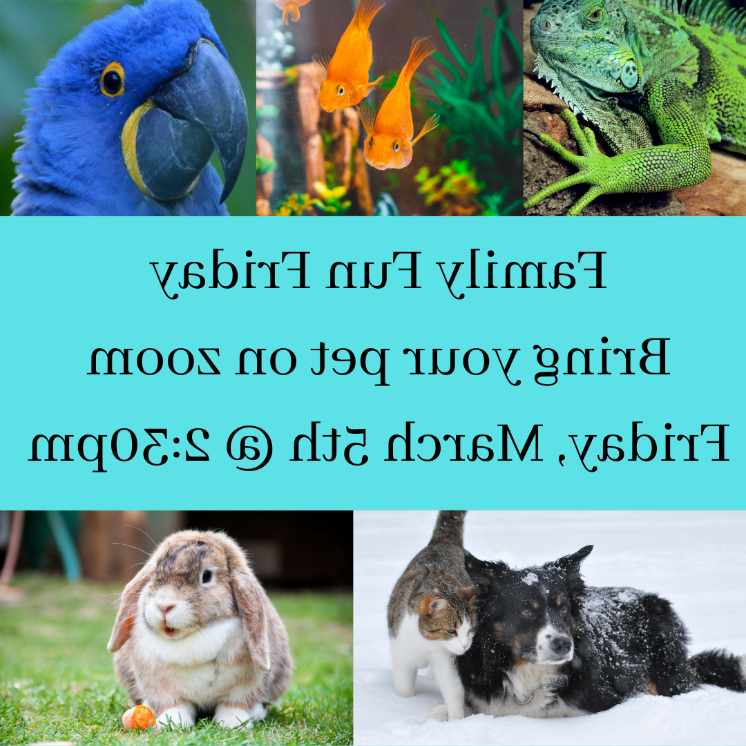 A flier for Family Fun Friday featuring a dog, lizard, fish, rabbit, and bird. 